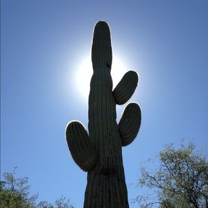 Meet your Posher, Audrey